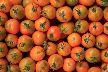 orange tomatoes close up