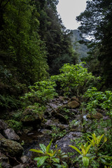 Obraz premium Caldeirão do Inferno Hiking - Madeira Island