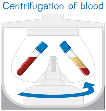 Centrifugation of blood diagram