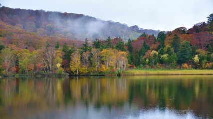 霧と八幡平大沼の紅葉のコラボ