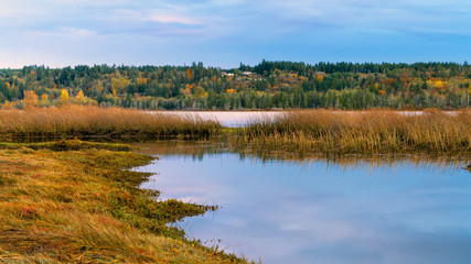 Fototapeta na wymiar Lynch Cove Wetlands Washington State