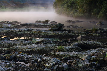 早朝の川の風景