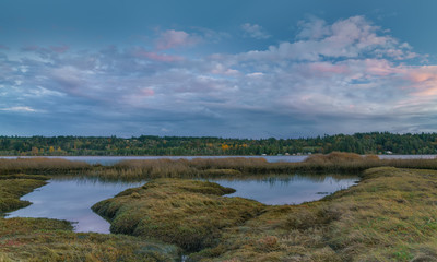 Lynch Cove Wetlands Washington State