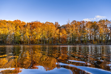 Colorful autumn landscape Beautiful autumn forest lake water body reflection