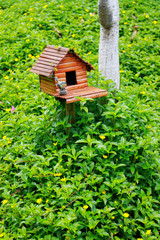 Fototapeta na wymiar bird wooden house in the small garden