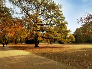 Herbst im Park