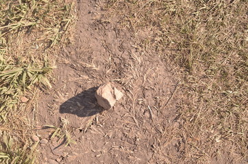 stone,rock,piso, suelo