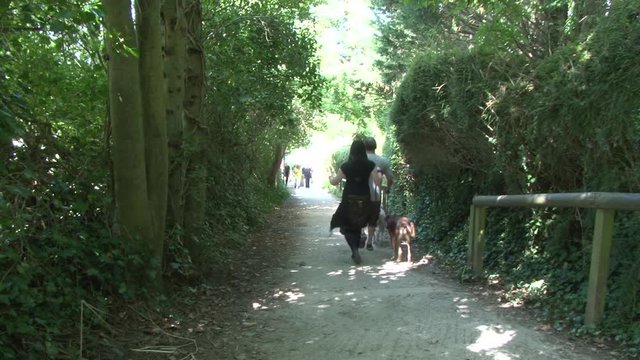 people walking near glastonbury tor