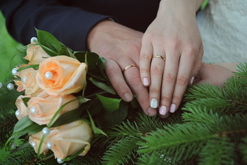 Hands of the bride and groom with wedding rings on the background of fir branches and a wedding bouquet of roses.

