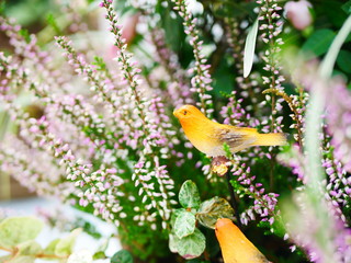 木製の小鳥と季節の花々