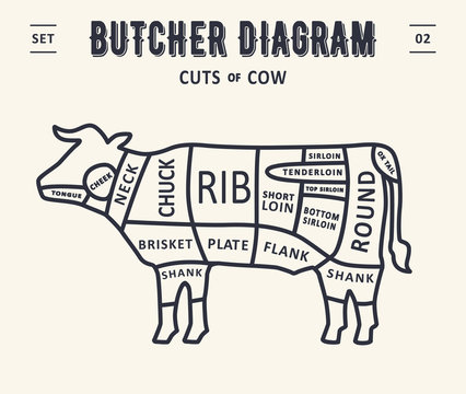 Cut of meat set. Poster Butcher diagram and scheme - Beef/cow. Vintage typographic. Diagrams for butcher shop, design for restaurant or cafe. Vector Illustration