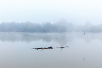 Obraz na płótnie Canvas Thick fog on the bank of the river next to the forest