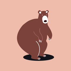 Cute wild brown bear cartoon illustration