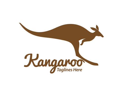 creative Kangaroo logo design vector illustration template