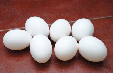 Huevos