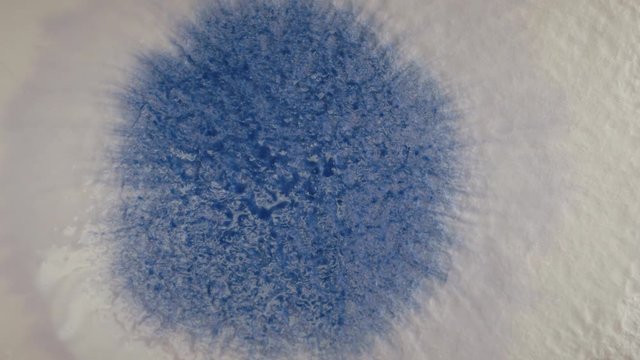 Abstract background. Blue ink on paper. Liquid watercolors.