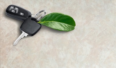 House key with green leaf on wooden