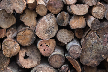 Timber logs arranged one over another.