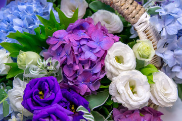 bunch of beautiful color of flowers