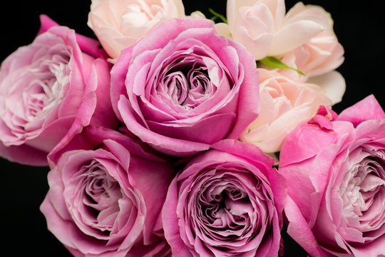 Takion Photos Images Assets Adobe Stock