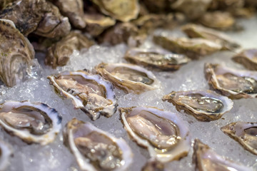 Fresh oysters on the ice table