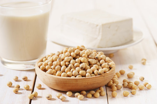 soy products with soybean, soymilk and tofu