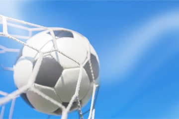 A Soccer Ball in a Net