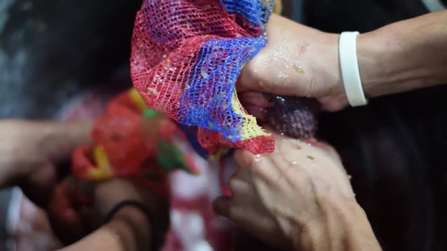 Bignay, Antidesma bunius traditional crude primitive method of home wine processing squeezing fruit with net