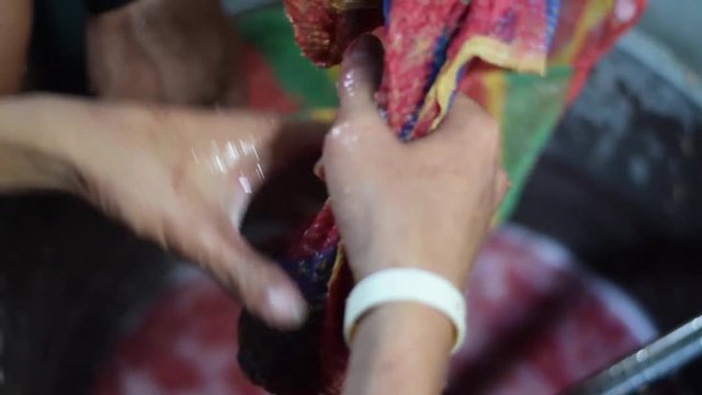 Bignay, Antidesma bunius traditional crude primitive method of home wine processing squeezing fruit with net