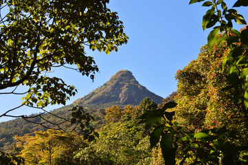 Adam's peak