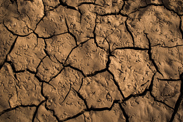 Cracks in golden dry sand