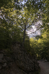 Natural landscape with blue sky in Spain