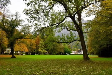 Fototapeta premium park in autumn
