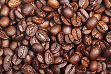 Coffee beans texture