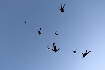 A flock of skydivers is in the sky.