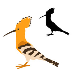 hoopoe bird vector illustration flat style
