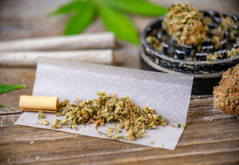 Cannabis joints with rolling paper and grinder
