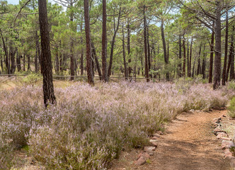 Mountains of Albarracin in Teruel