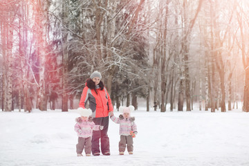 Children walk in the park in winter. Winter forest a family with children on a walk. A cold winter day is a family walk.