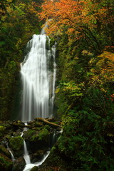 紅葉の抱返り渓谷