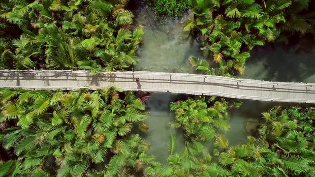 Aerial view of woman walking on long wooden bridge among palm trees in Bojo river, Philippines.