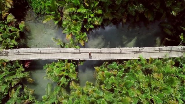 Aerial view of woman walking on long wooden bridge among palm trees in Bojo river, Philippines.