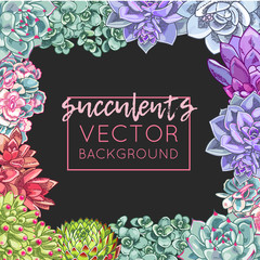 The illustration with beautiful succulents decoration. Vector floral design. Botanical frame template.