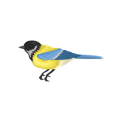 Obraz premium Tomtit with bright yellow and blue feathers. Small passerine bird. Fauna and wildlife theme. Flat vector icon