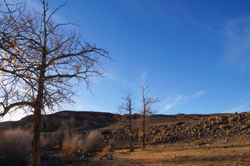 Beautiful view near Altai Mars in Western Siberia,Chagan- Uzun,Altai Republic,Russia.