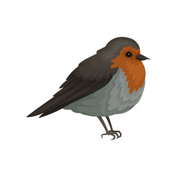 Flat vector icon of European robin. Small songbird with bright red mask, brown wings ans gray belly