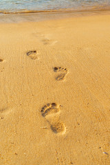 Fototapeta na wymiar woman relaxing walking on sand beach leaving footprints in the sand.