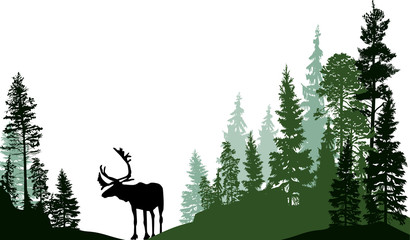 blak deer silhouettes in green fir forest
