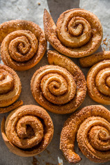 Freshly baked cinnamon rolls 