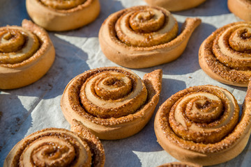Freshly baked cinnamon rolls 